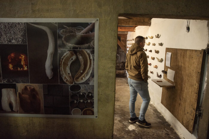 Champ d'Ex_HD4471© Eric Legret