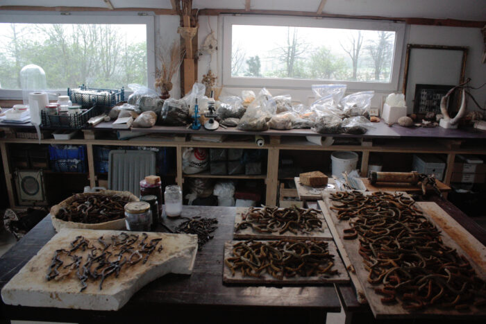 atelier préparations épigés
